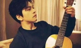 庞龙爆料李健视频播放,视频播放背后的感人瞬间